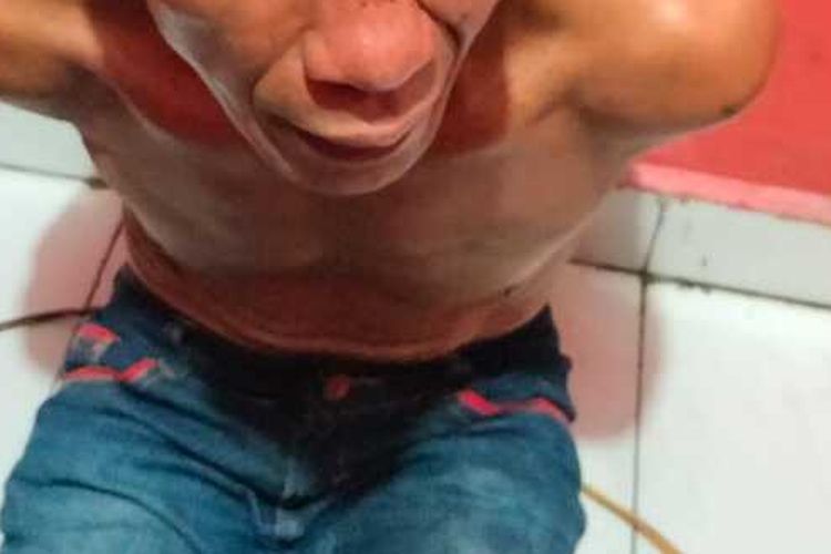 Insiden Warga Diduga Konsumsi Daging Kucing di Pagar Alam, Dinkes Diminta Jemput Bola Cegah Rabies