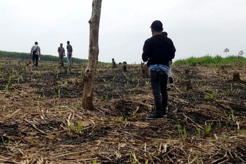 Ribuan Hektar Lahan Gundul di Perbukitan Blitar Selatan, Pemkab Waspadai Potensi Banjir