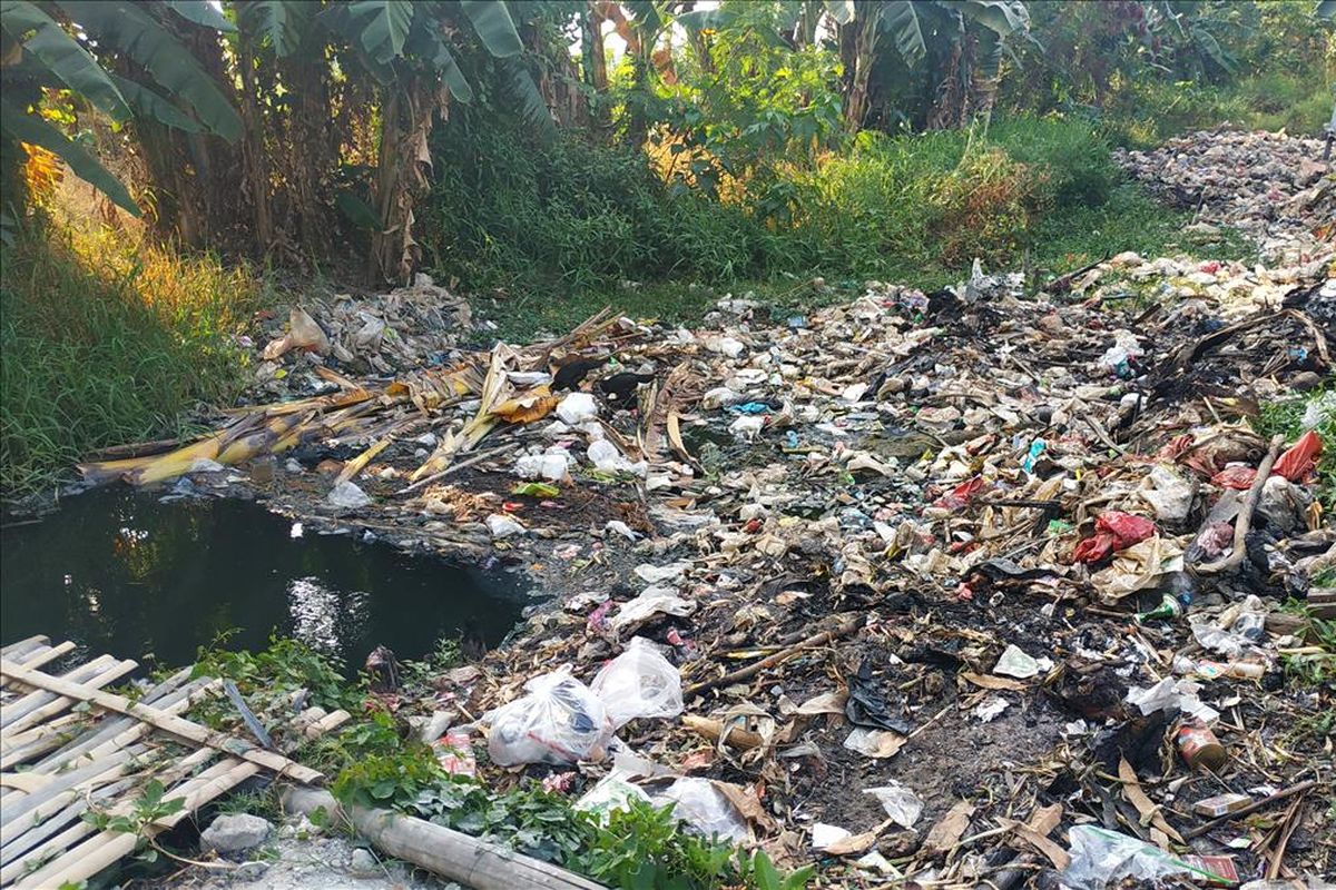 Tutupan sampah di Kali Busa atau Kali Bahagia mengendap di sisi utara, Kelurahan Babelan Kota, Kecamatan Babelan, Kabupaten Bekasi, hingga selevel dengan daratan.