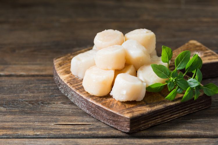 Foto 2 Cara Simpan Scallop Agar Tetap Segar Dan Tahan Hingga Berbulan