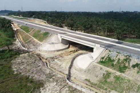 [POPULER PROPERTI] Tol Pekanbaru-Dumai Punya Jalur Perlintasan Gajah dan Beruang