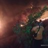 25 Hektar Hutan di Buleleng Terbakar, Pemadaman Dilakukan secara Manual