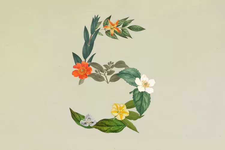 Anthropic Rilis Claude Sonnet 5, Model AI 