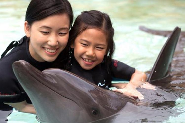 Bermain dengan lumba-lumba di Dolphin Island Resort World Sentosa, Singapura.