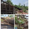 357 Rumah di Grobogan Rusak Disapu Angin Kencang, Beberapa Bangunan Tertimpa Pohon