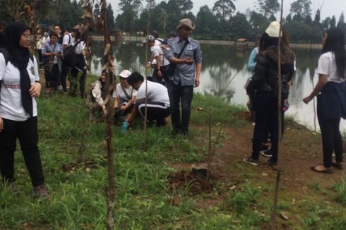 Hijaukan Bumi, Alam Sutera Tanam 12.000 Pohon