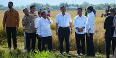 Tingkatkan Produksi Pertanian, Kementan Siap Dampingi Petani Sulsel Dapatkan Akses KUR