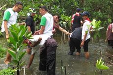 Jangan Sampai Hutan Mangrove Indonesia Terkikis Habis