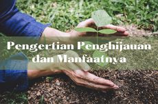 Pengertian Penghijauan dan Manfaatnya