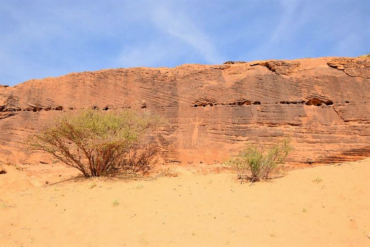 Kawasan budaya Hima, adalah salah satu Situs Warisan Dunia UNESCO yang ada di Arab Saudi.