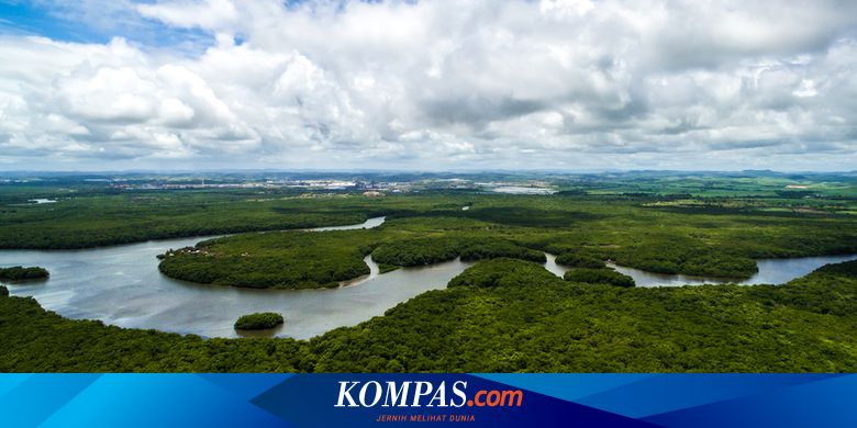 20 negara tropis dengan kasus virus