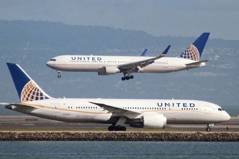 Insiden Kematian Anak Anjing, United Airlines Diselidiki Regulator 