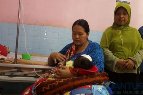 Bayi 40 Hari Jadi Korban Serangan Kera Liar di Probolinggo