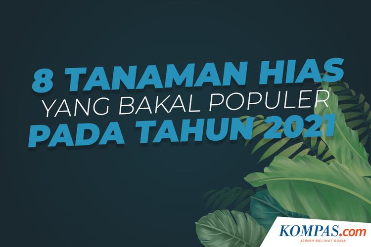 8 Tanaman Hias yang Bakal Populer pada Tahun 2021
