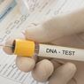 Kasus Bayi Tertukar di Bogor Kini Tunggu Hasil Tes DNA, Bagaimana Prosesnya?