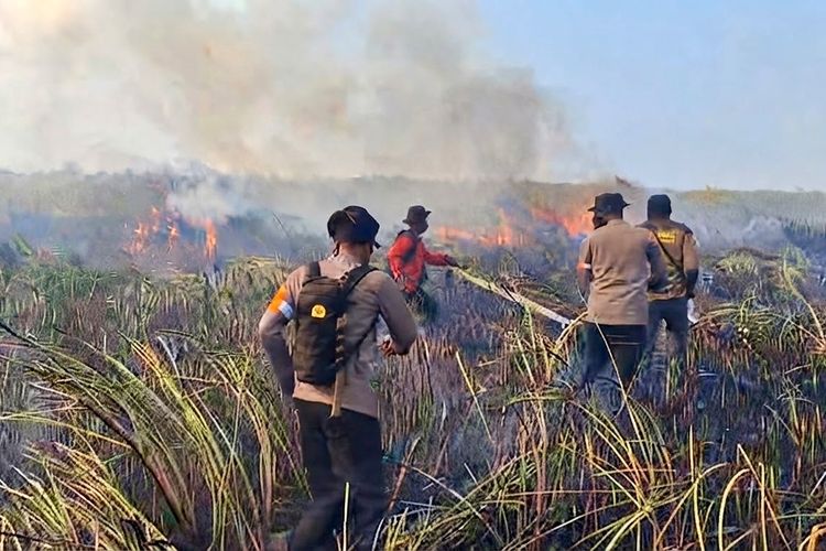 Sempat Padam, Karhutla Way Kambas Kembali Muncul, Jauh dari Habitat Gajah