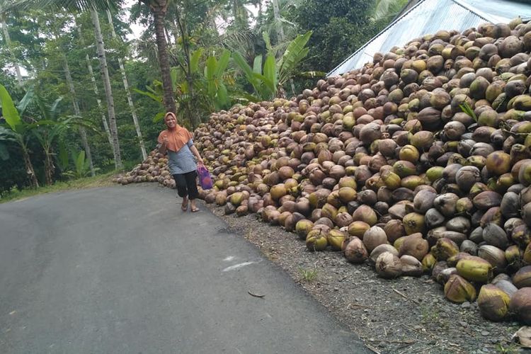 Pemanjat kelapa di Kabupaten Pohuwato mendapat asuransi jiwa, karena dianggap memiliki kerja risiko yang tinggi.