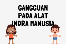 Gangguan Alat Indera Manusia