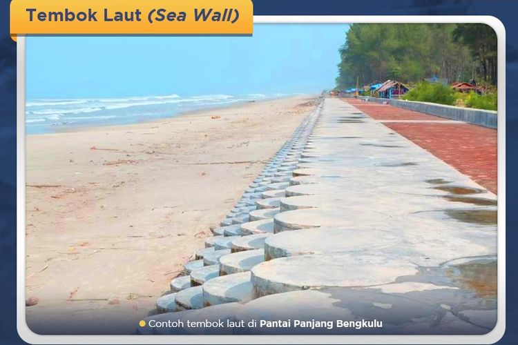 Tembok laut atau sea wall