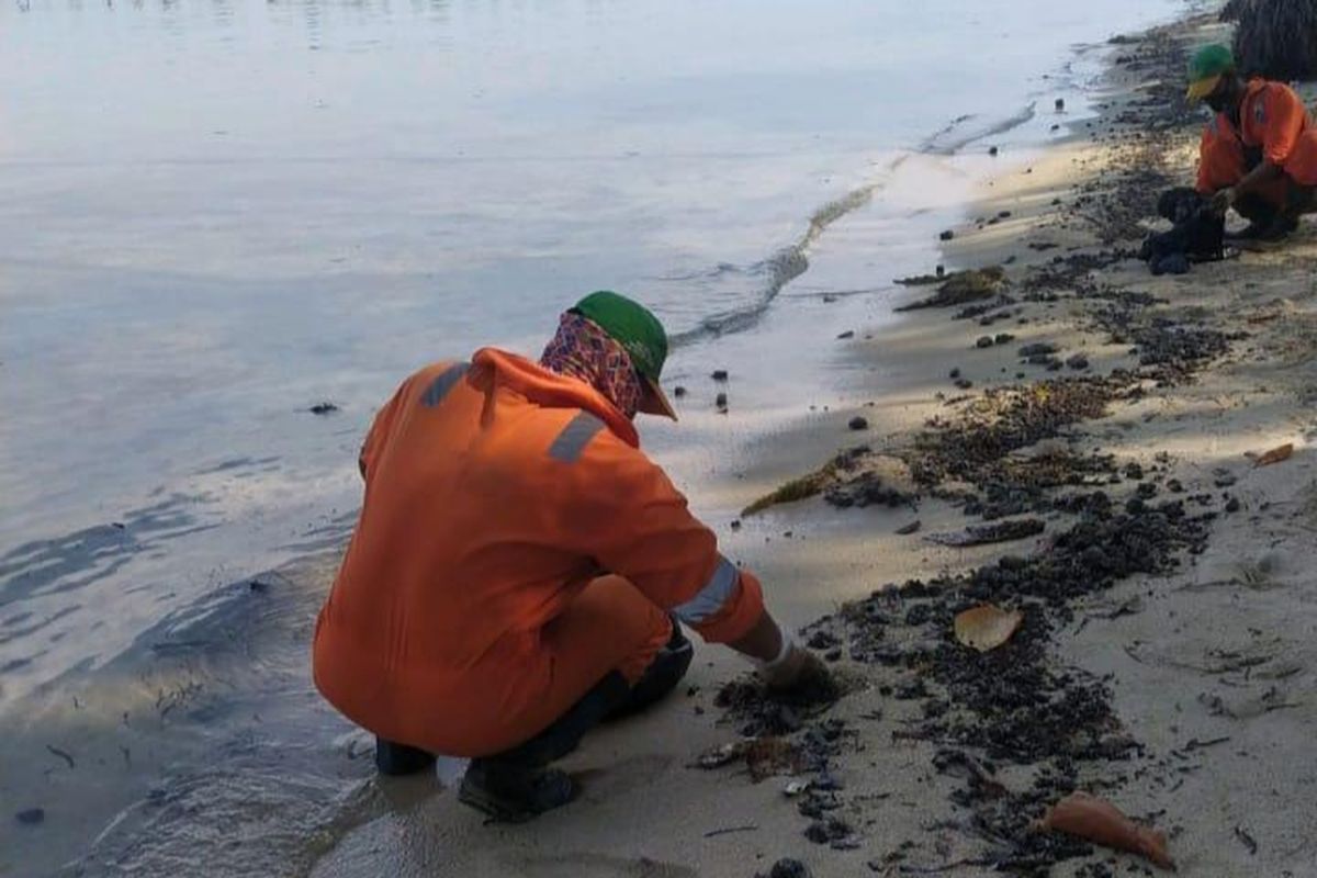 Petugas PPSU Kep Seribu mengumpulkan tumpahan minyak yang sudah berubah menjadi padat di pinggir pantai Pulau Pari, Kep. Seribu, Selasa (11/8/2020)