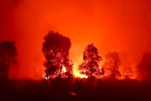 673,4 Hektare TN Way Kambas Terbakar, Api Merembet ke Rawa Mbah Sapon