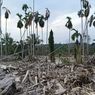 Dua Bulan Pascabanjir Aceh Utara: Warga Masih di Pengungsian, Pembangunan Huntara Dikebut