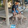 Kasus Sabu 1 Ton di Pangandaran, Anjing Milik Warga Berperan Tangkap Pelaku, Endus Darah di Semak-semak