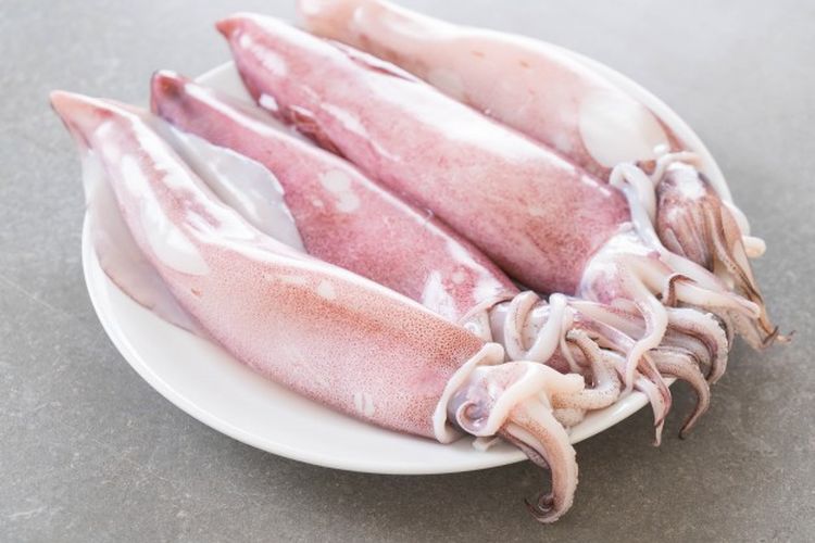 Ilustrasi cumi-cumi segar, salah satu makanan laut yang relatif aman untuk penderita asam urat.
