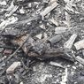 40 Rumah di Cakung Ludes Terbakar, Seekor Kambing Hangus, Kabel-kabel Terkelupas