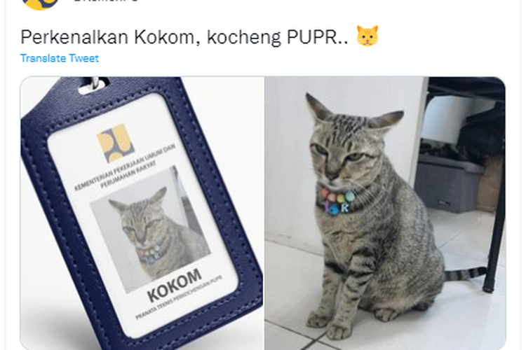 Kokom si kucing Kementerian PUPR