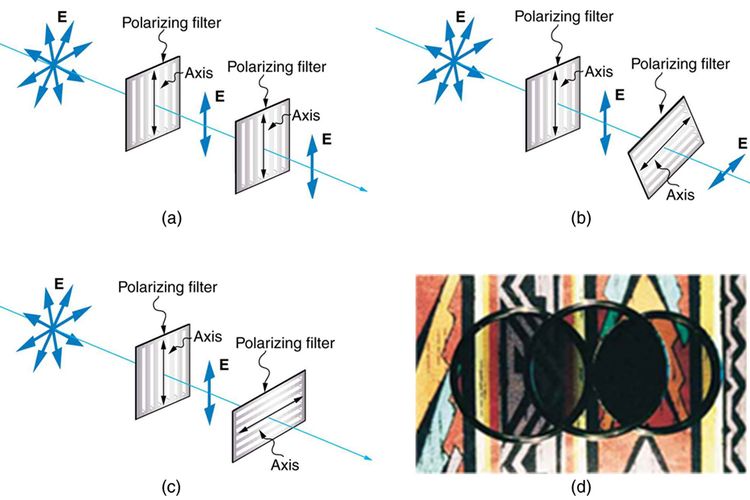 (a) polarisasi dengan dua filter sejajar, (b) polarisasi dengan dua filter membentuk sudut, (c) polarisasi dengan dua filter tegak lurus (d) sebuah filter polarisator.