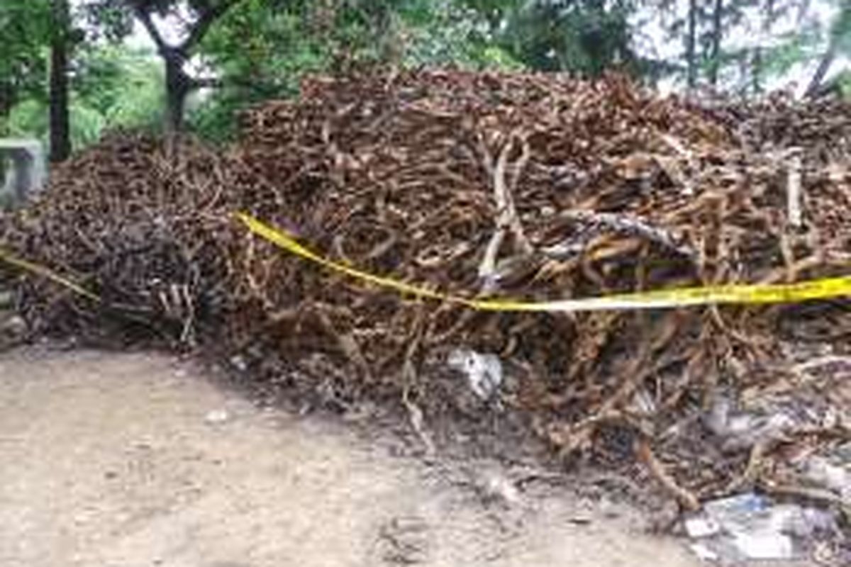 Bungkus kabel misterius yang ditemukan di gorong-gorong Jalan Medan Merdeka Selatan, Jakarta Pusat jumlahnya terus bertambah. Jumat (4/3/2016)