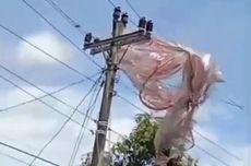 Saat Listrik di Gunungkidul Padam akibat Balon Udara Liar..