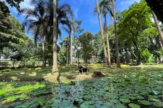 Pengalaman Berkunjung ke Taman Langsat, Tempat Healing Murah di Jakarta