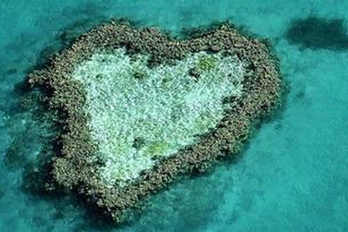 Underwater love: A heart-shaped coral reef in Australia  
