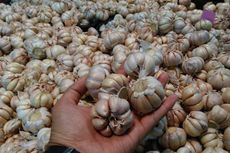 Harga Bawang Turun, Agustus 2017 Deflasi 0,07 Persen 