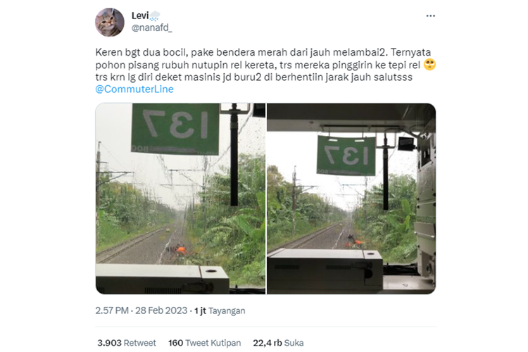 Tangkapan layar twit bernarasi dua pemuda mengibarkan bendera merah ke masinis KRL lantaran ada robohan pohon pisang yang menutupi rel kereta api.