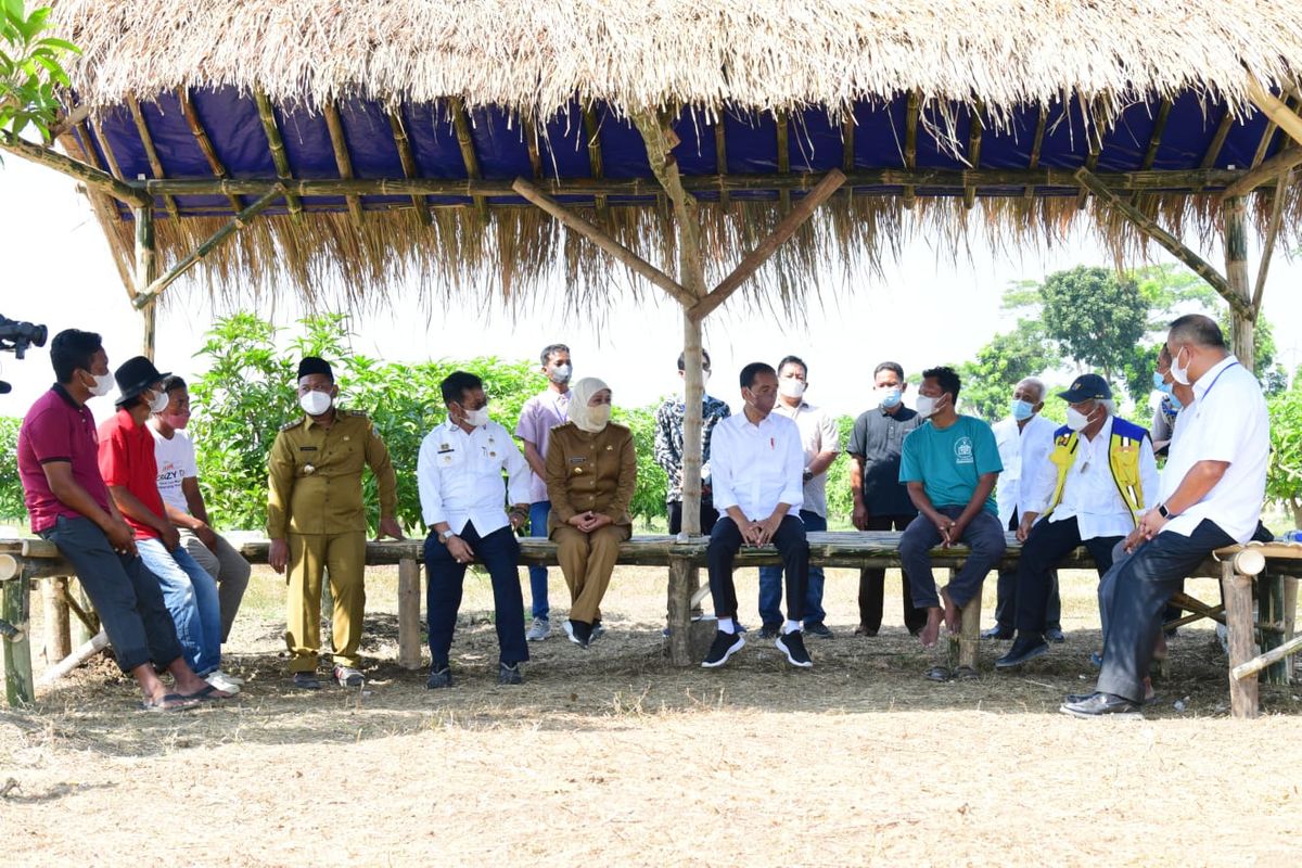 Presiden Jokowi berdialog dengan petani pada Peluncuran Lumbung Pangan Berbasis Mangga dan Taksi Alsintan, di Gresik, Jatim, Senin (22/08/2022). 
