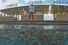 Bangsring Under Water dan Ijen Resort Wakili Indonesia di UNWTO Awards 2016
