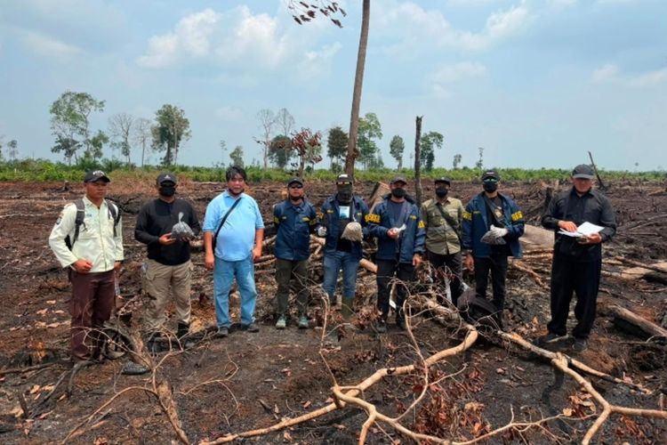 Kebakaran Lahan Perusahaan di Bengkalis Riau, Penyidikan Melibatkan 5 Orang Ahli
