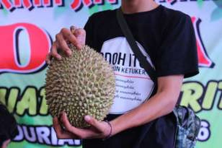 Durian Si Fajar yang sedang dipamerkan saat Duren Fair 2016 di selasar A blok M square. Durian ini memperoleh juara Tiga Festival Durian 2016.