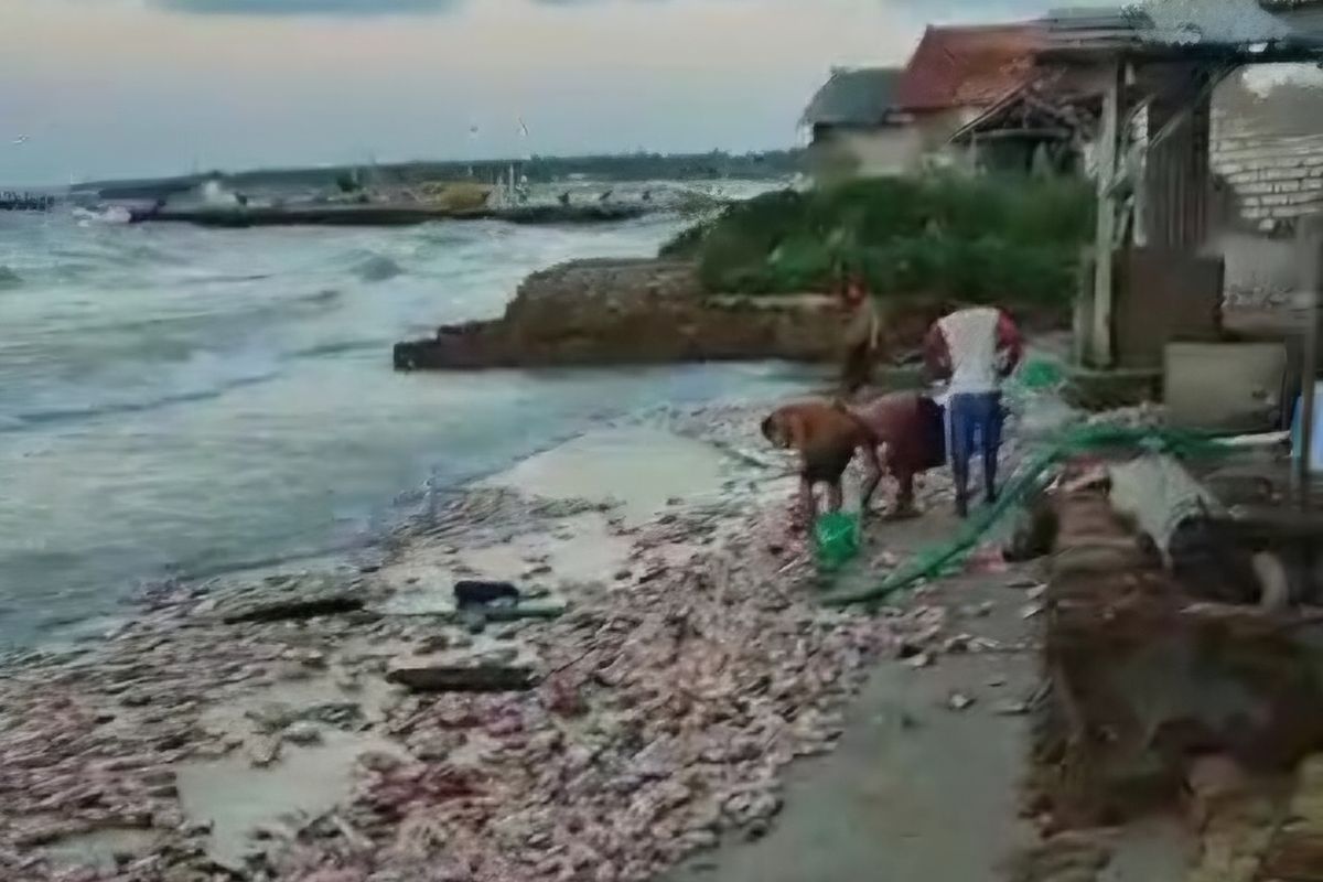 Ratusan mie instan mengambang dan tercecer di pantai. 