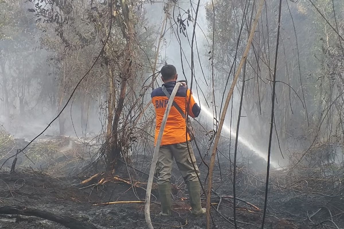 Petugas BPBD Riau memadamkan api karhutla di Desa Rimbo Panjang, Kabupaten Kampar, Riau, Selasa (17/9/2019).