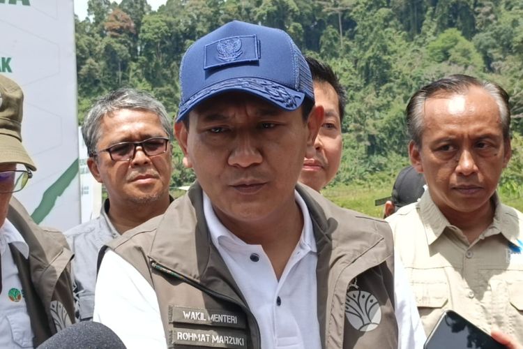 Sebab Tapir ke Jalanan Mesuji dan Disembelih: HTI Meluas, Hutan Sisa Sedikit