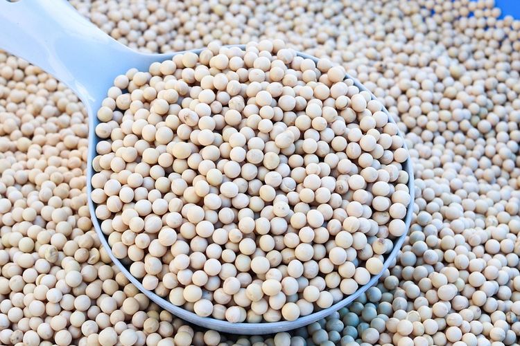 Harga Kedelai Tembus Rp 20.000 per Kg di Jakarta, Ini Penyebab dan Dampaknya ke Warga