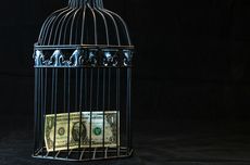 Bukan dari Tulang, Rahasia Usia Dinosaurus Ternyata Tersembunyi di Kulit Telurnya