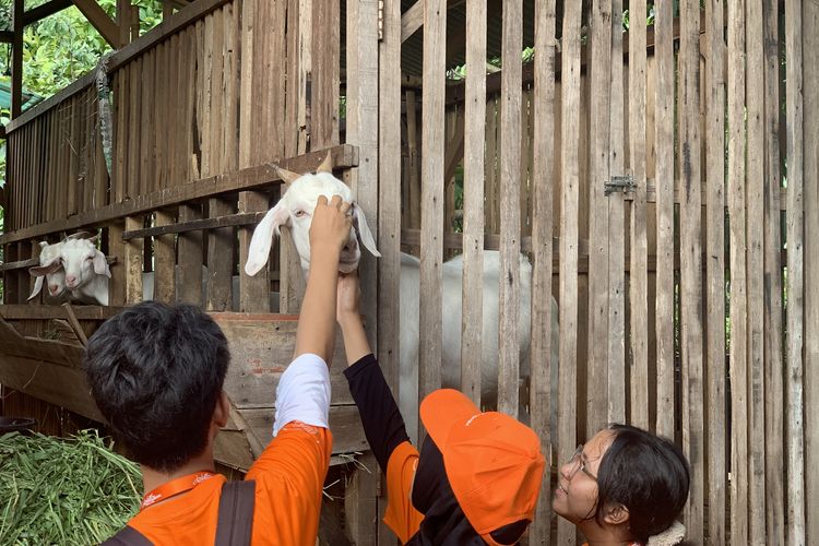 Lokasi, Aktivitas, dan Cara Berkunjung ke Agroeduwisata Ragunan