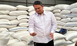 Stabilkan Harga, Bulog Gelontorkan 800.000 Ton Beras untuk Operasi Pasar dan 641.000 Ton untuk Bantuan Pangan