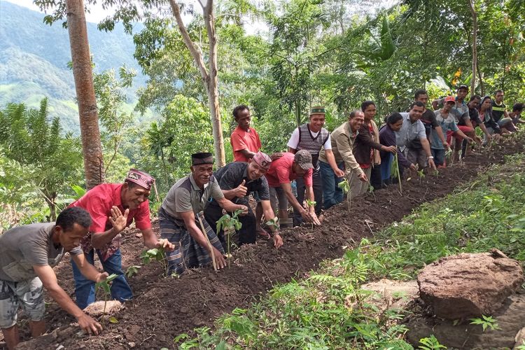 Kelompok Tani Matahari Paroki Mbata, Desa Rana Mbata, Kecamatan Kota Komba Utara, Kabupaten Manggarai Timur, NTT, Maret 2021 sedang menanam Porang di tempat terasering sesuai rekomendasi dari seorang petani yang pulang magang dari Jepang, Agustinus Adil. 