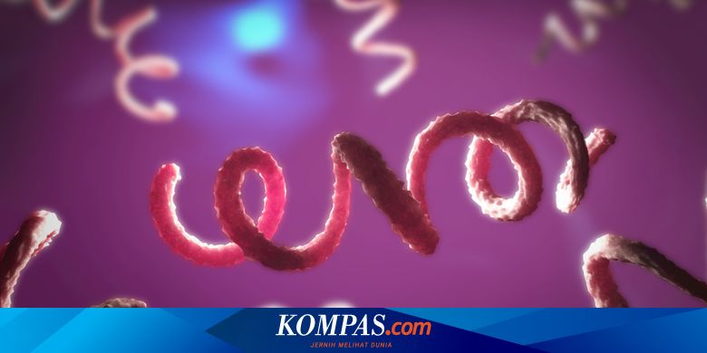 Setelah Terkena Sifilis, Apa Akibatnya? Ini Ulasannya...